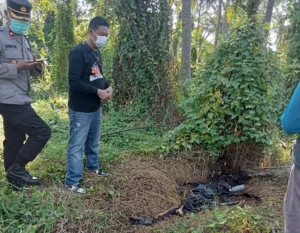 Penemuan Kerangka di Sukojati Banyuwangi Hebohkan Warga, Disebut Warga Patoman