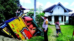 Menghindari Pemotor, Truk Cabai Masuk Parit di Dekat SPBU Krikilan Glenmore Banyuwangi