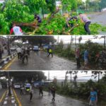 Hujan Deras di Singosari, Pohon Tumbang Lukai Dua Warga