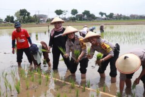 Gandeng Pemerintah Daerah, Polres Sukoharjo Dukung Ketahanan Pangan Siapkan 20 Hektar Lahan Sawah