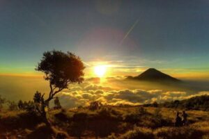 Penemuan Kerangka di Gunung Sumbing, DVI Polda Jateng Lakukan Uji DNA