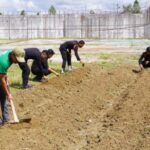 Pengamanan Rutan Humbahas Bangun Kebun Percontohan untuk Dukung Ketahanan Pangan