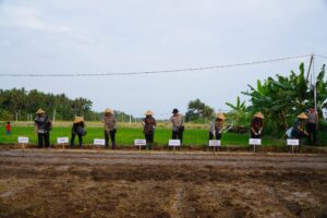 Semai Padi di Kulonprogo, Kakorbinmas Baharkam Polri Perkuat Ketahanan Pangan Nasional