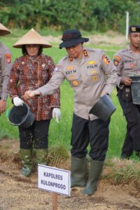 Aksi Semai Padi di Kulonprogo, Kakorbinmas Baharkam Polri Dukung Ketahanan Pangan Nasional