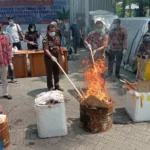 Barang Bukti Narkoba dan Senpi Dimusnahkan Kejari Kota Malang