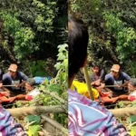 Tragis! Ibu Hamil dan Anak Terjun Bebas ke Jurang di Magelang, Begini Kondisinya