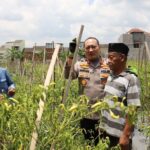 Dorong Ketahanan Pangan, Polresta Malang Kota dan Pemkot Malang Giatkan Urban Farming