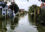 Banjir Rob Menggenangi 7 Kecamatan di Jepara, Warga Pesisir Terus Menderita