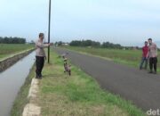 Aksi Baku Hantam Remaja di Sawah Banjarnegara Viral, Polisi Turun Tangan