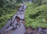 Longsor di Pemalang Lumpuhkan Akses Jalan Wisnu-Watukumpul