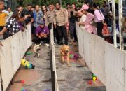 Kontes Anjing Meriahkan HUT Satwa ke-24, Polrestabes Semarang Gaet Komunitas