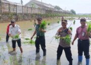 Optimalisasi Lahan di Batang, Polda Jateng Dukung Program Swasembada Pangan Asta Cita